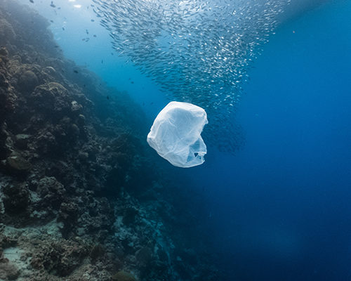 single-use plastic bag floating in the ocean