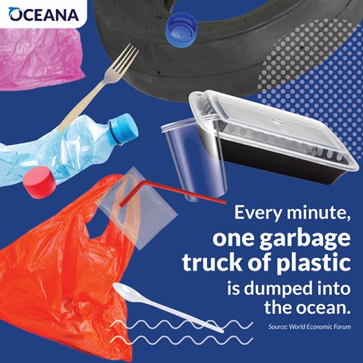 Every minute, one garbage truck of plastic is dumped into the ocean.