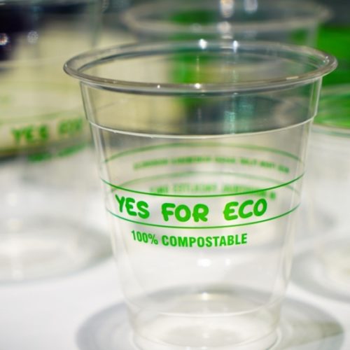 Plant-based bioplastic cup