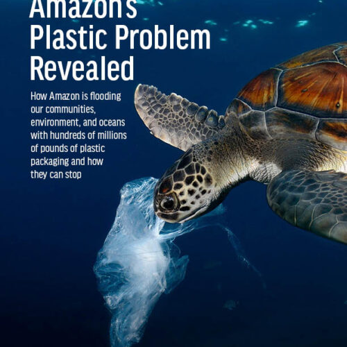 Amazon's Plastic Problem Revealed