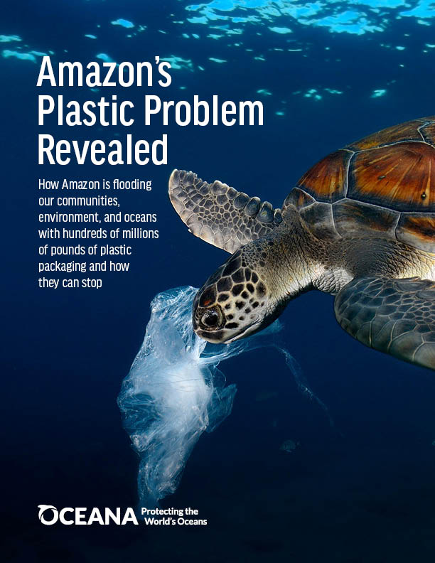 Amazon's Plastic Problem Revealed