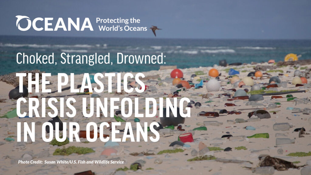 Oceana Plastic Report