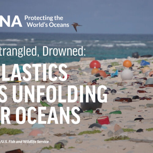 Oceana Plastic Report