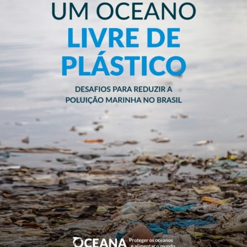 A Plastic Free Ocean: The Report