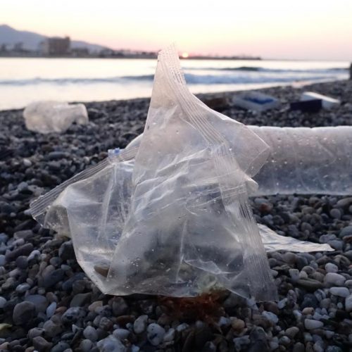 Plastic bag sitting on littered beach