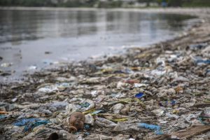 plastic littered beach