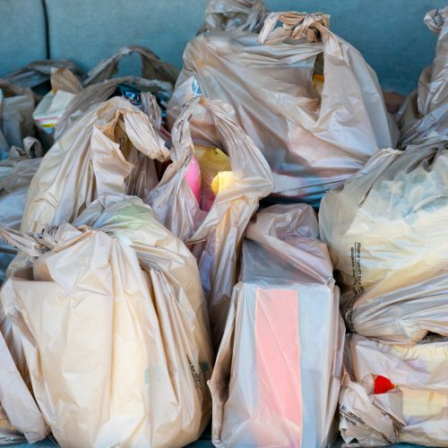 Trunk full of single use plastic grocery bags